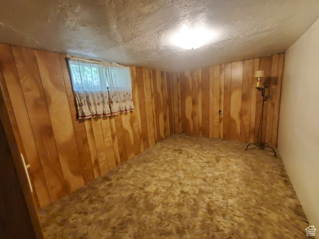 Basement featuring wooden walls, carpet, and a textured ceiling