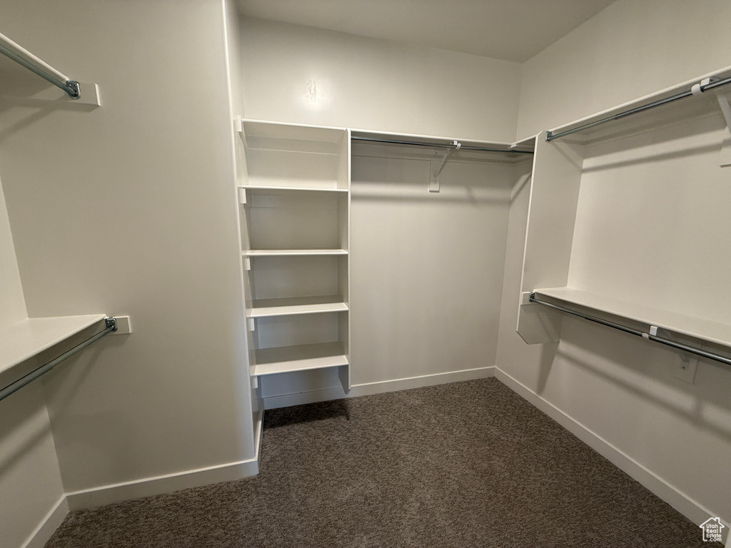 Walk in closet featuring dark carpet