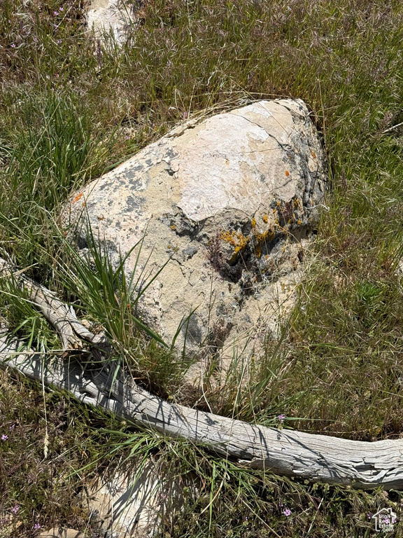  Spring City, UT 84662