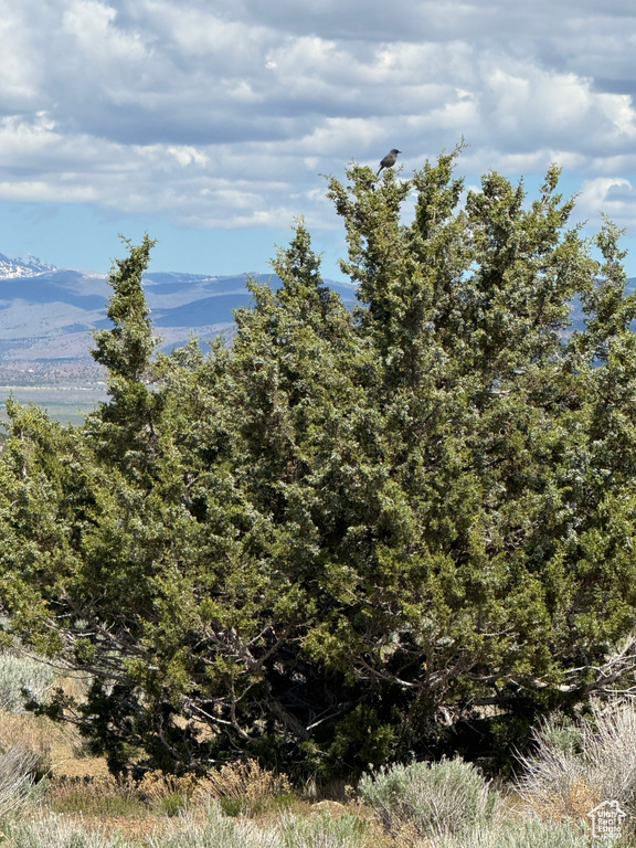  Spring City, UT 84662