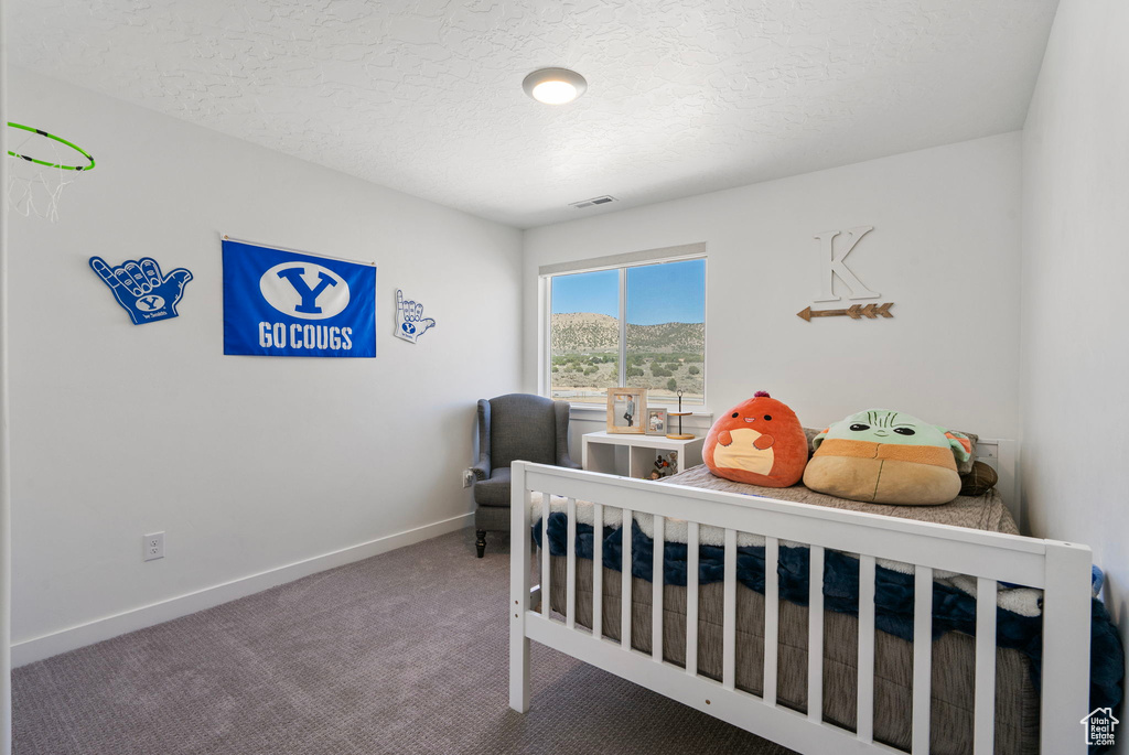 Carpeted bedroom featuring a textured ceiling