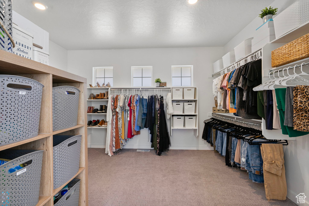 Walk in closet featuring carpet floors