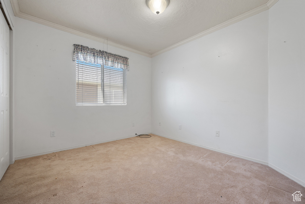 Carpeted spare room with crown molding and baseboards