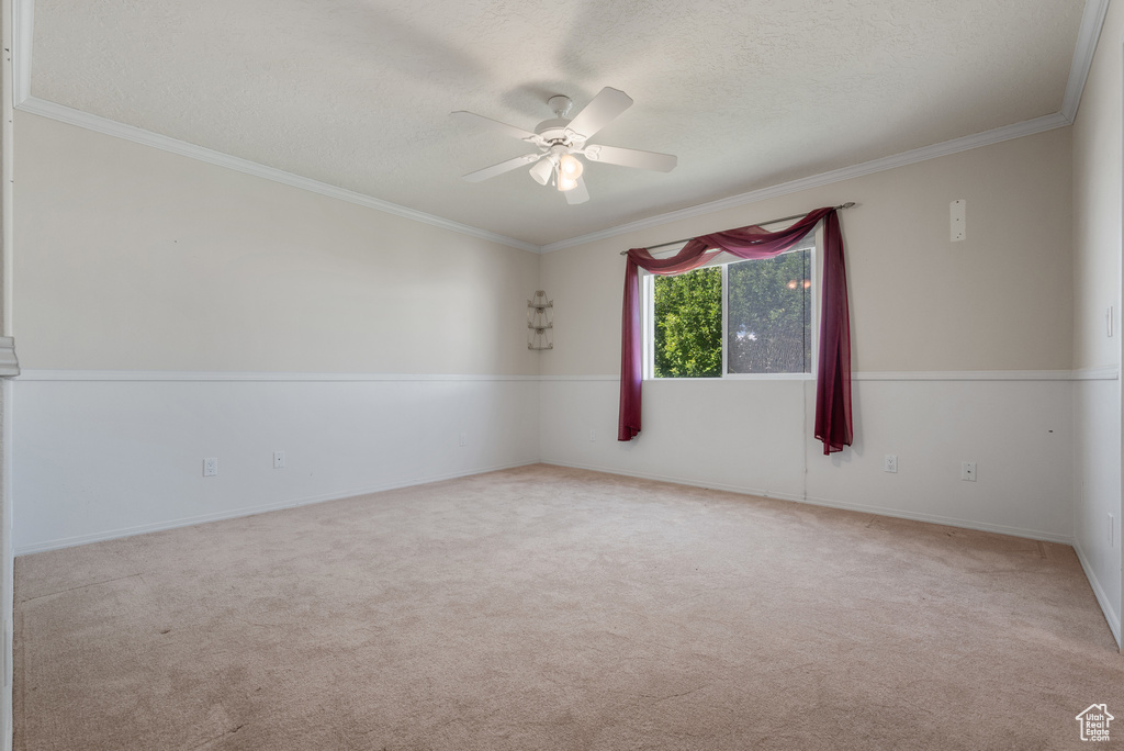 Carpeted spare room with a ceiling fan, crown molding, and a textured ceiling