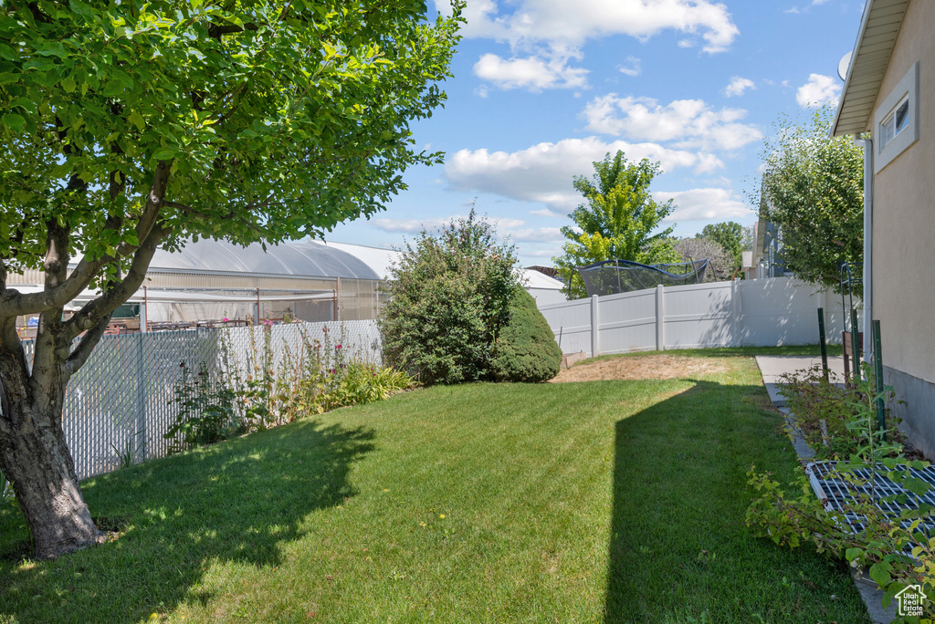 View of fenced backyard
