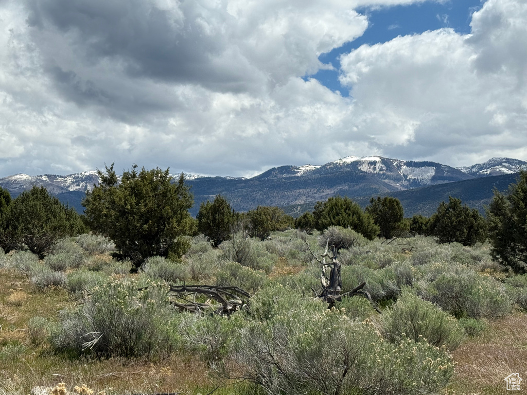  Spring City, UT 84662