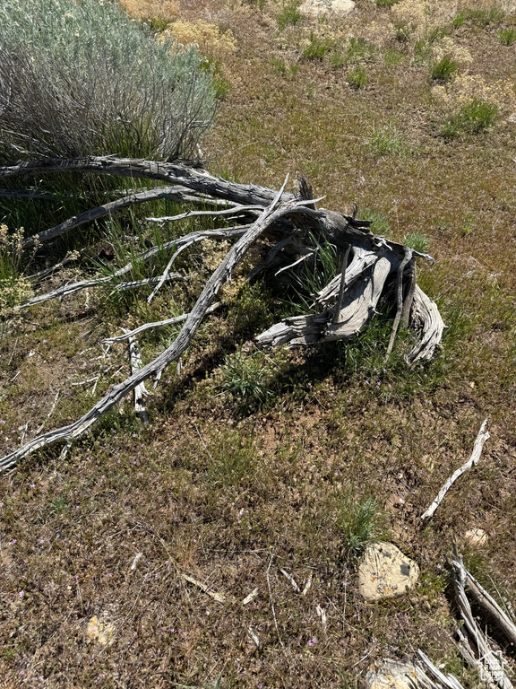  Spring City, UT 84662