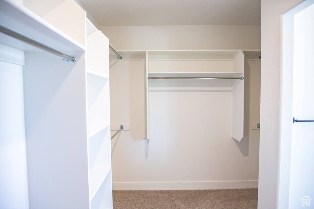 Walk in closet with carpet