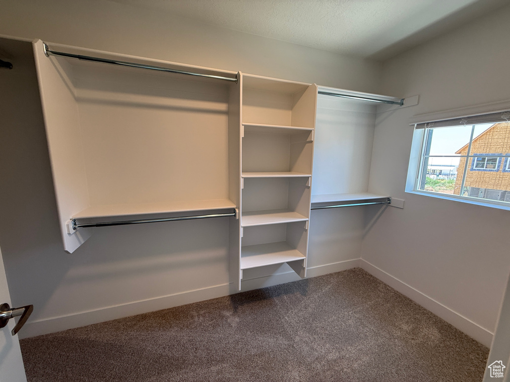 Walk in closet featuring carpet floors