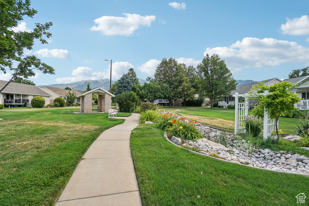 Surrounding community with a yard and a residential view