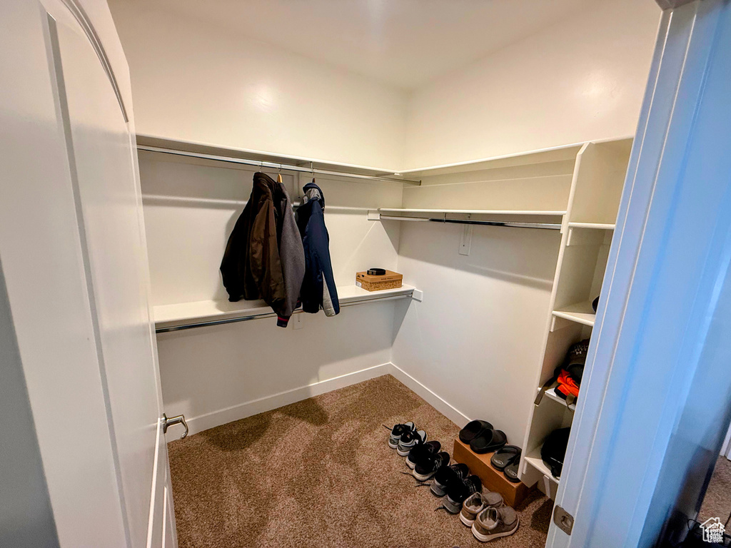Walk in closet with carpet