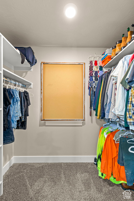Spacious closet with carpet