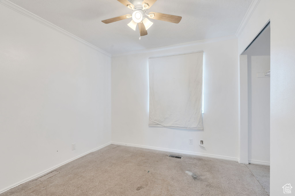 Spare room featuring ornamental molding, a ceiling fan, and carpet floors