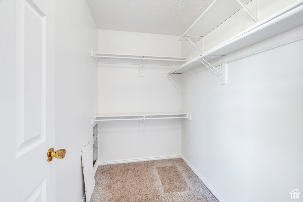 Spacious closet with light carpet