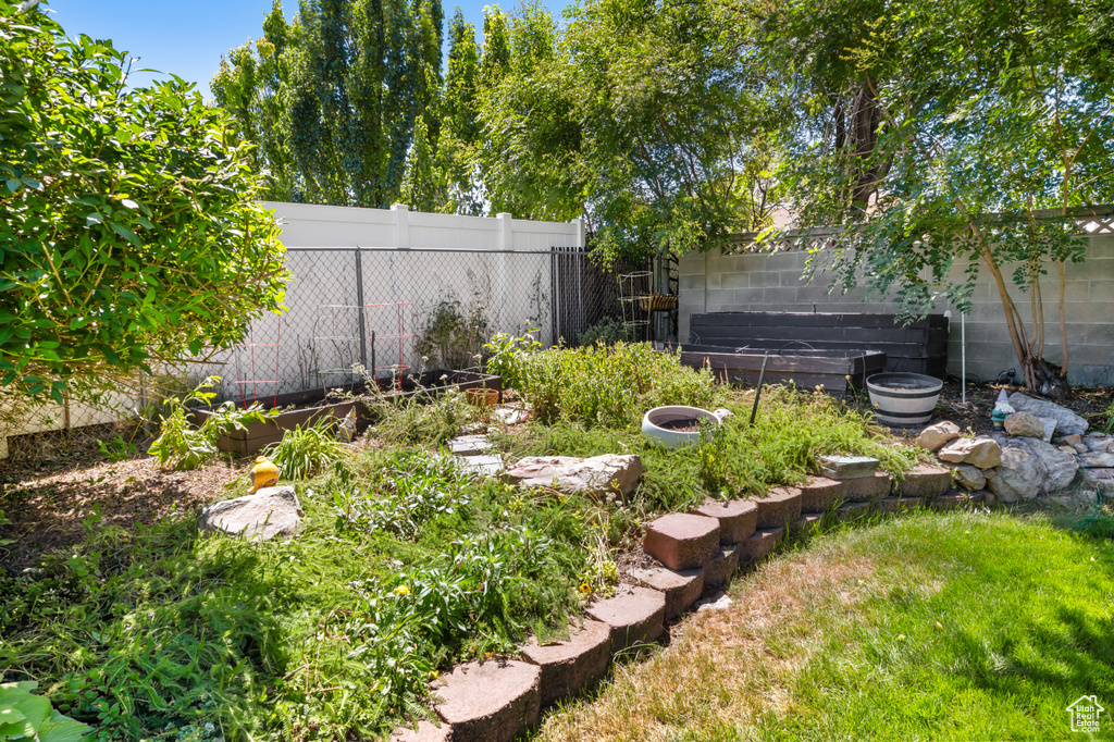 View of fenced backyard