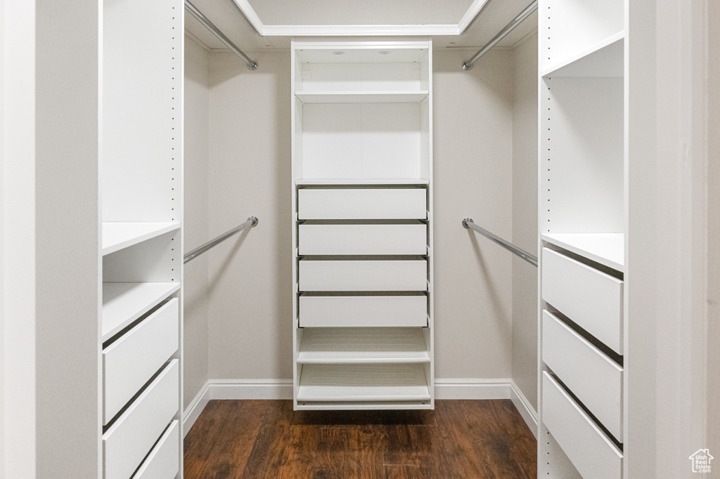 Spacious closet with dark wood-type flooring