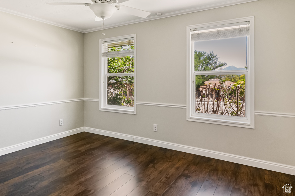 Spare room featuring a ceiling fan, ornamental molding, and dark wood-style floors