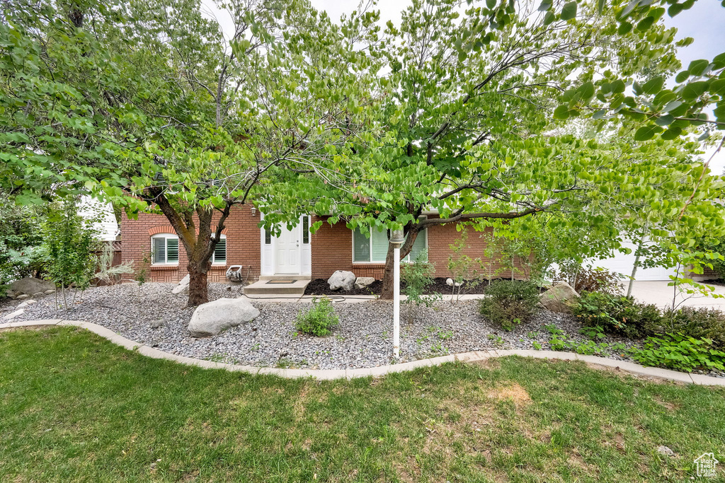 Back of house featuring brick siding and a yard