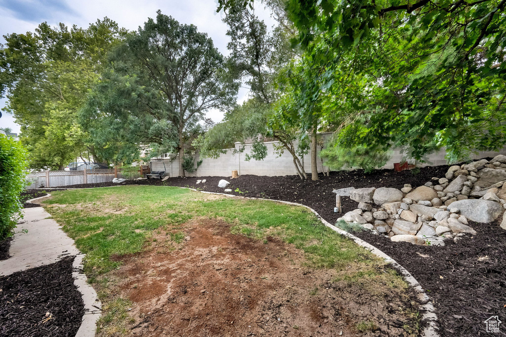 View of fenced backyard