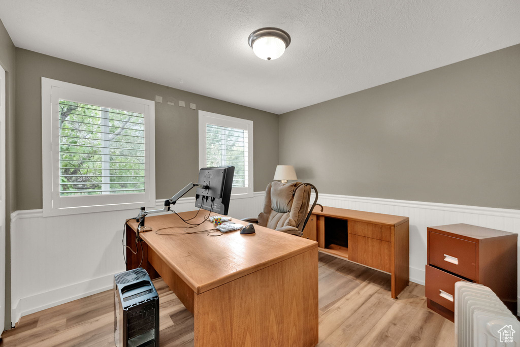 Home office featuring light wood finished floors, radiator, wainscoting, and a textured ceiling