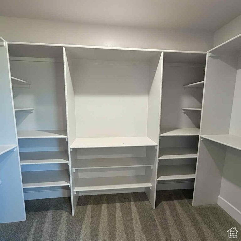 Walk in closet featuring carpet flooring