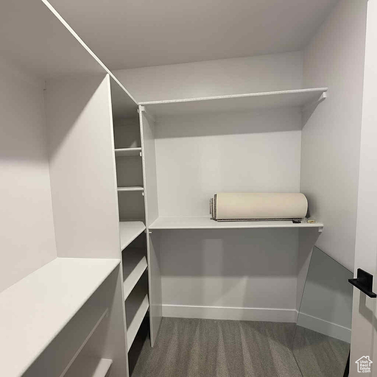 Spacious closet featuring dark carpet