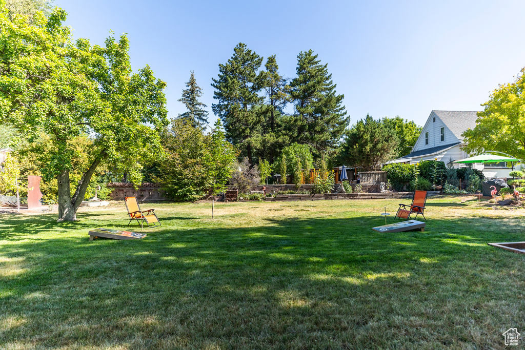 View of yard