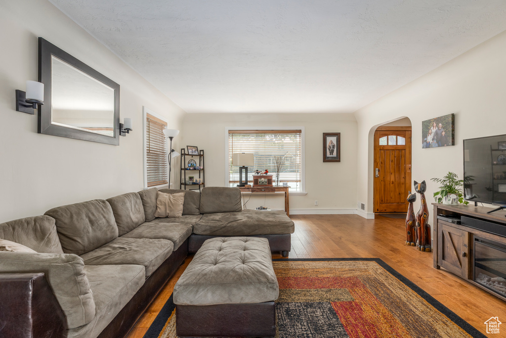 Living room featuring wood finished floors and arched walkways