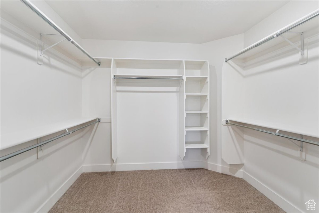 Walk in closet with carpet floors