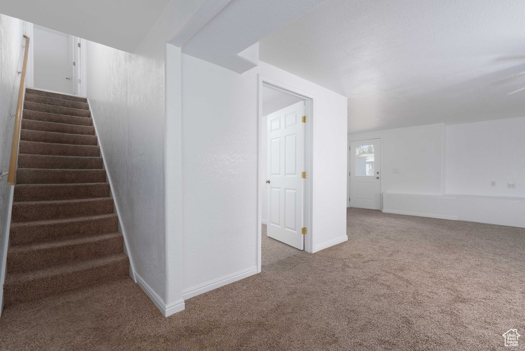 Stairs featuring carpet and baseboards