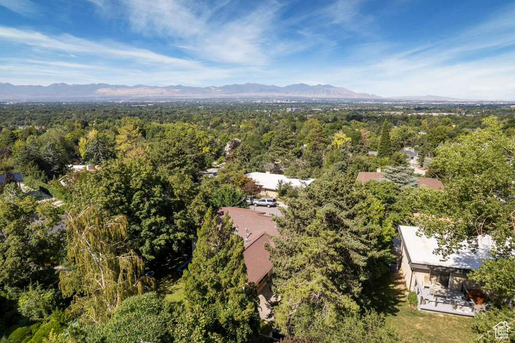 Drone / aerial view of a forest and a mountain backdrop