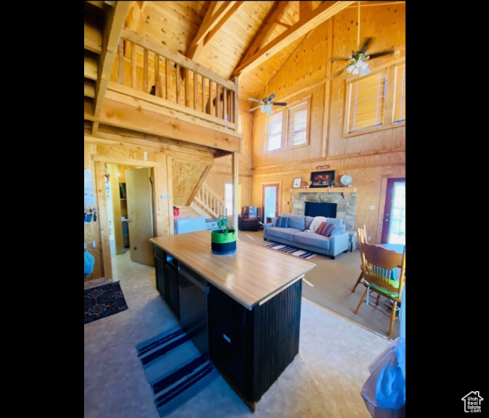 Photo 20 for MLS #2098878 at 18854 W Arzy Mitchell Cir