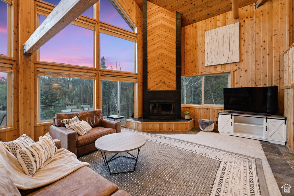 Living area with a high ceiling, wooden walls, and a fireplace with raised hearth