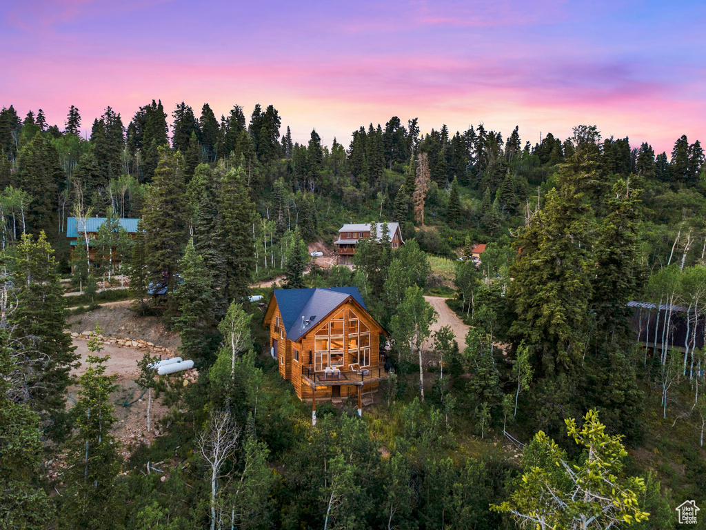 Aerial view at dusk of a forest view