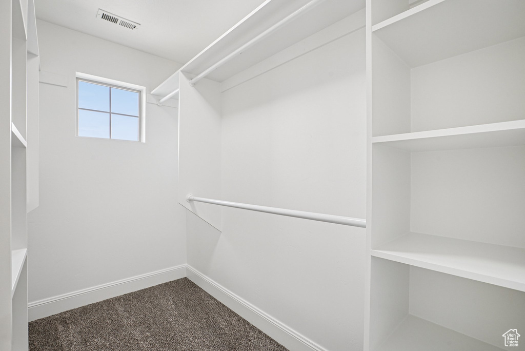Spacious closet with dark colored carpet
