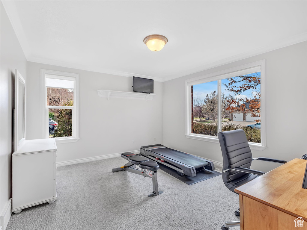 Home office with plenty of natural light and carpet floors