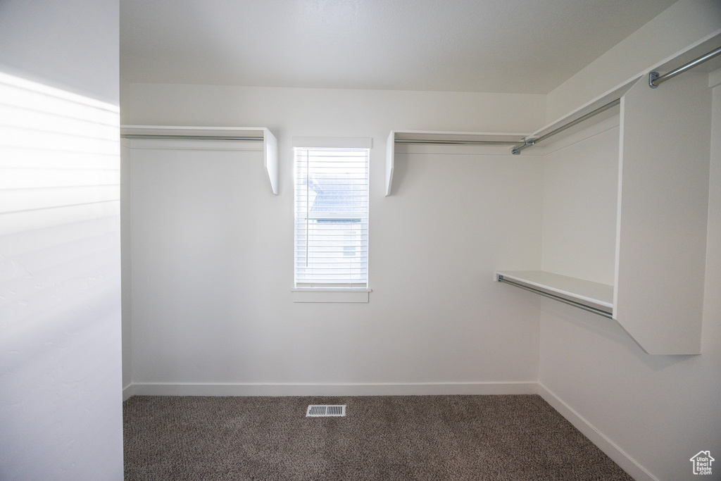 Walk in closet with carpet
