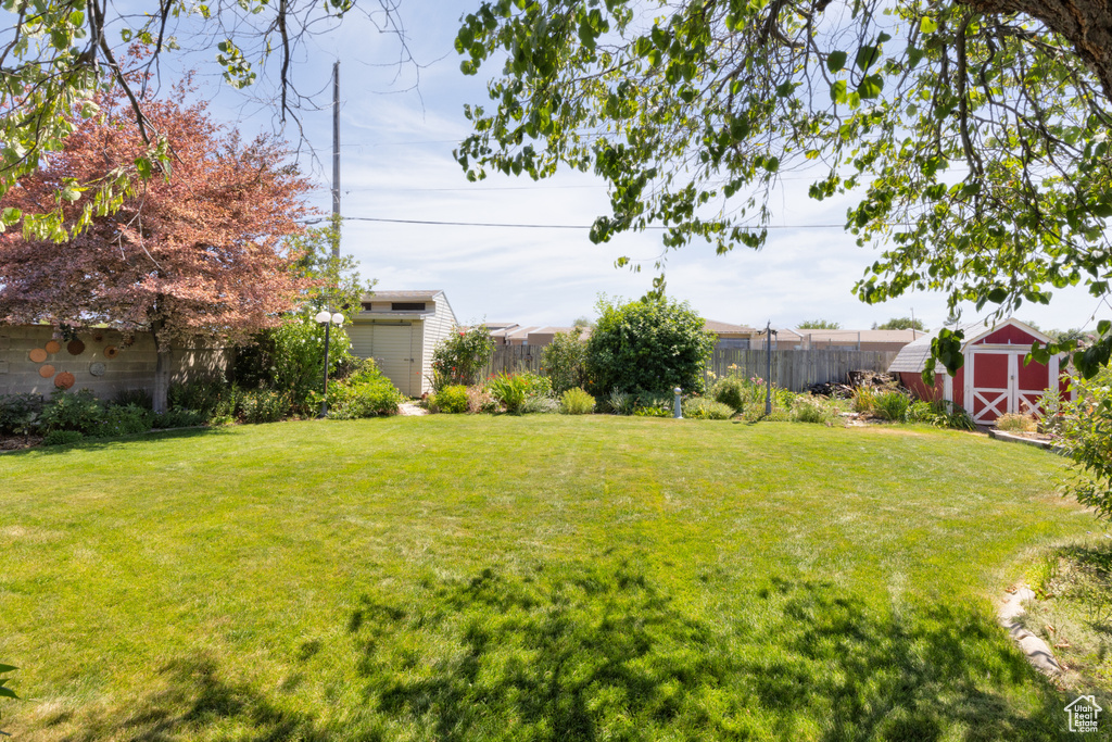View of yard with a shed