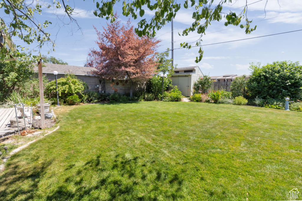 View of yard