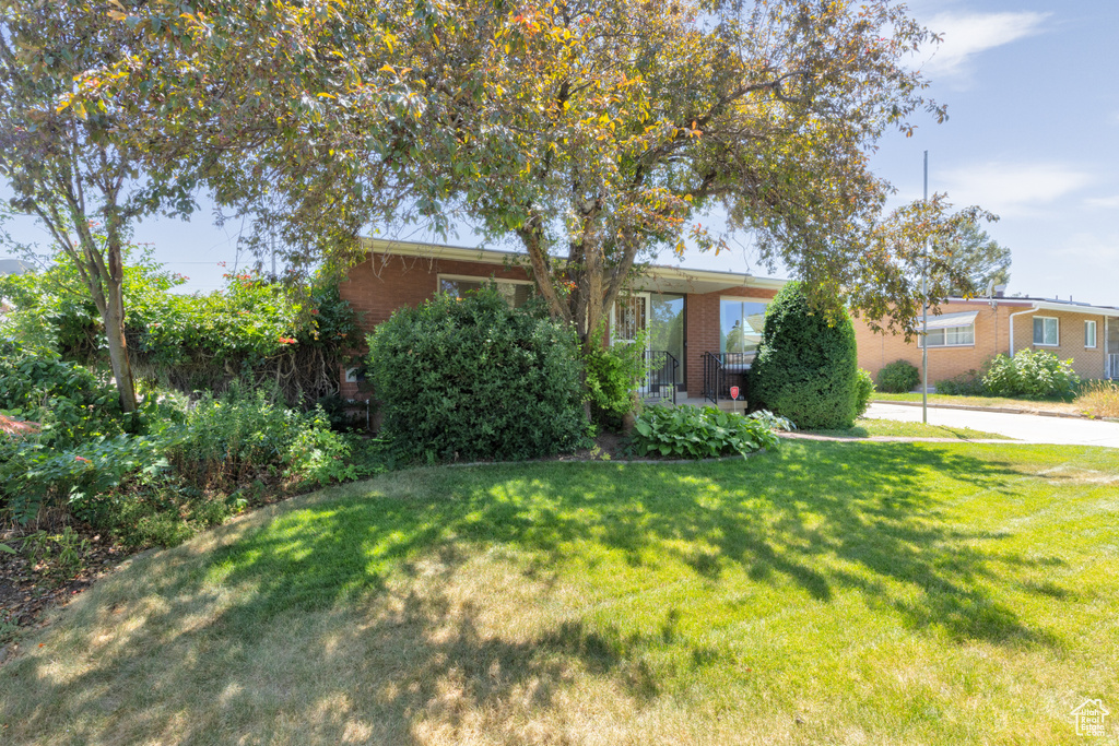 View of property hidden behind natural elements with brick siding and a front lawn