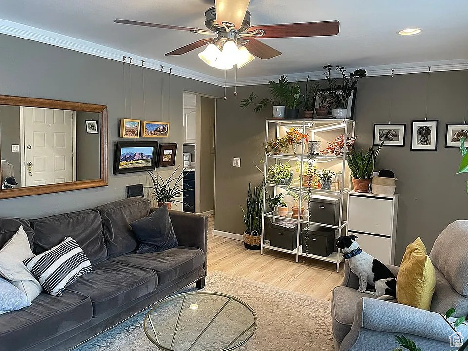 Living room with crown molding, a ceiling fan, light wood-style floors, and recessed lighting