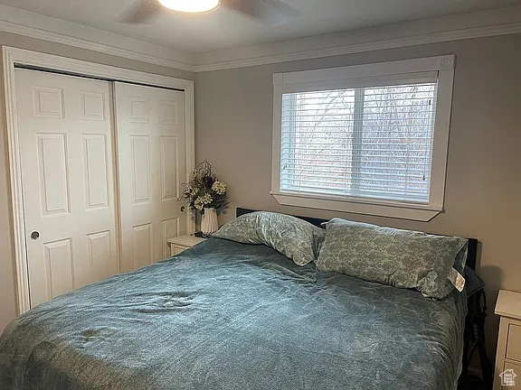 Bedroom featuring a closet, ceiling fan, and ornamental molding
