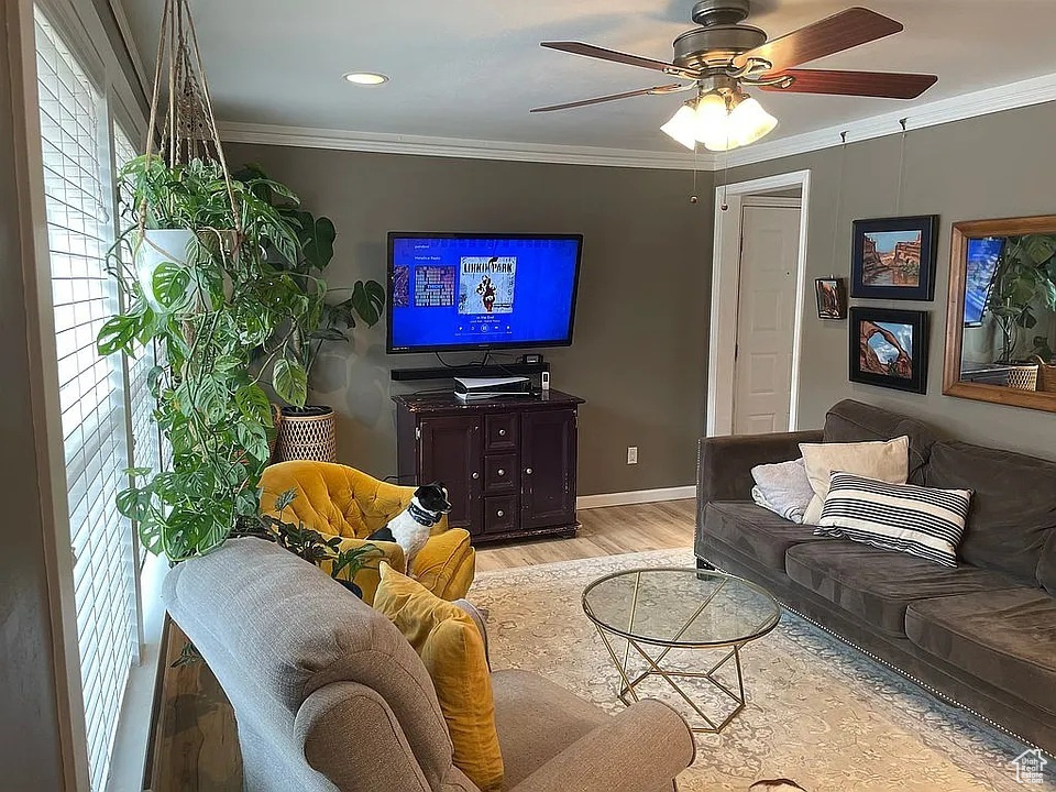 Living area with light wood finished floors, a ceiling fan, and crown molding
