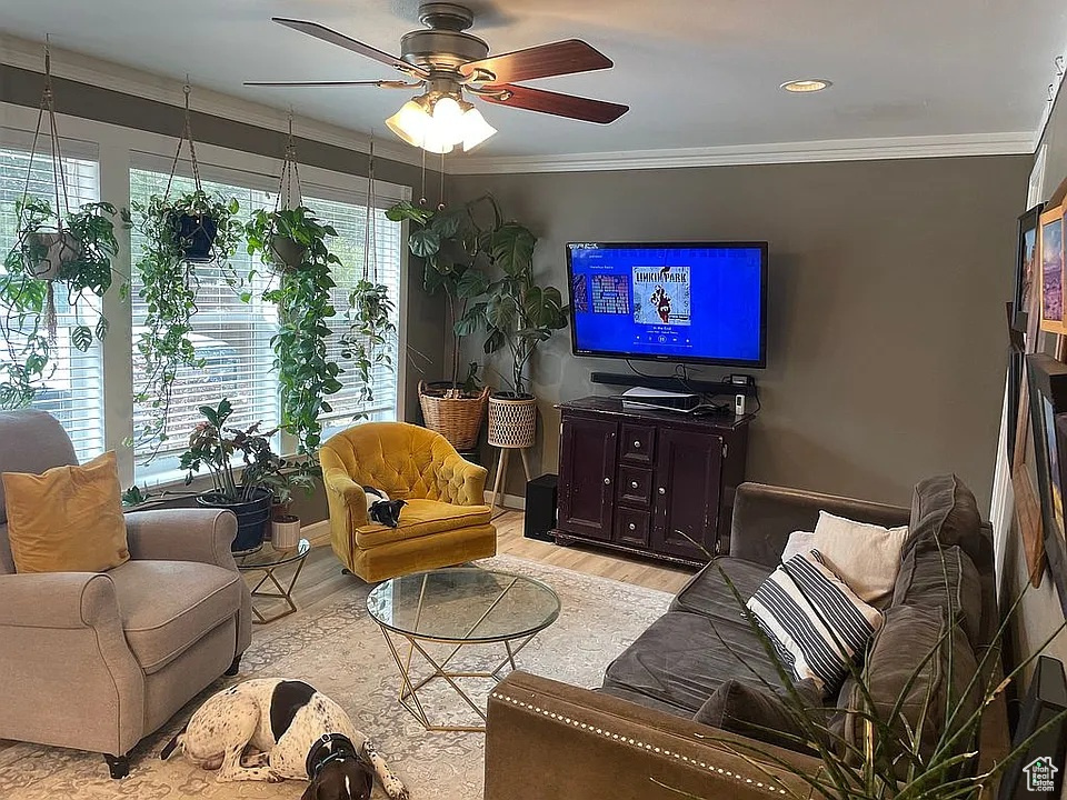 Living room with light wood finished floors, a ceiling fan, and crown molding