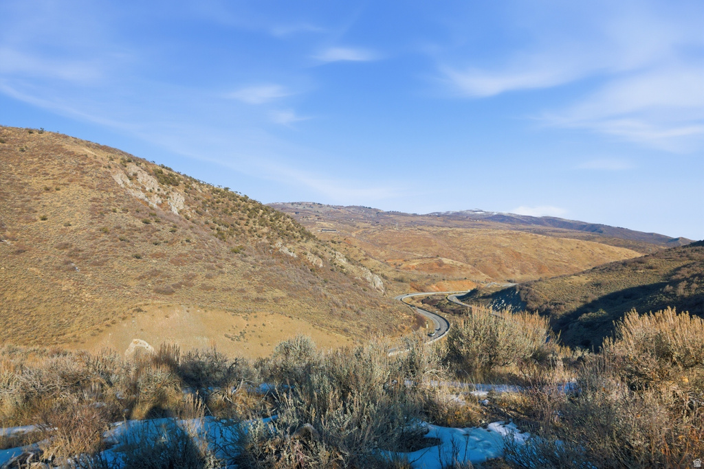 9233  SPOTTED OWL CT Park City, UT 84098