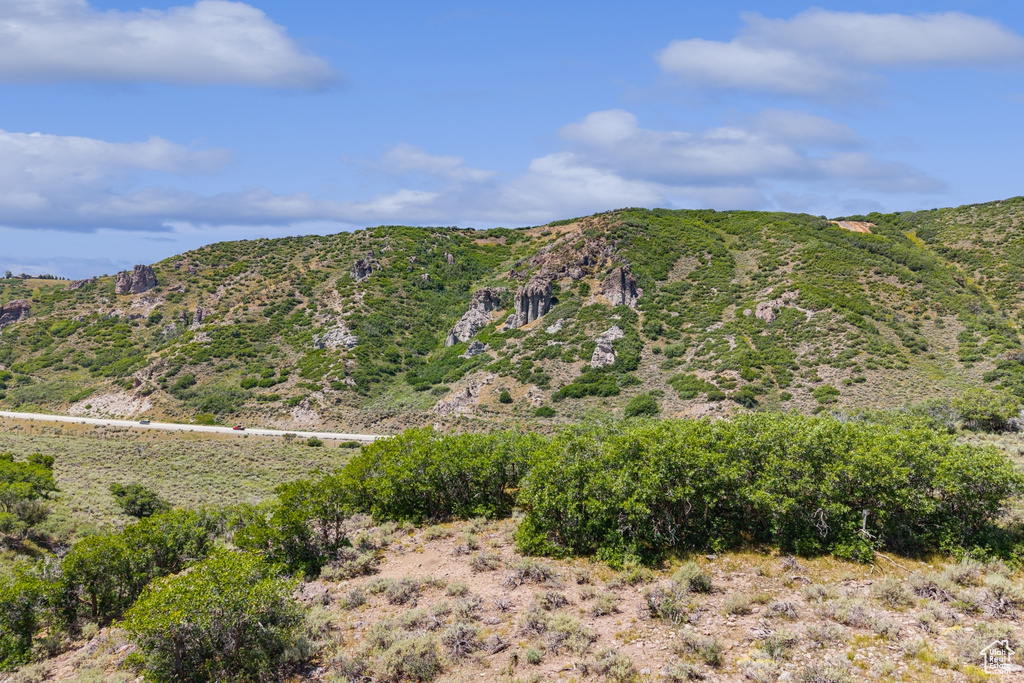 Mountain view