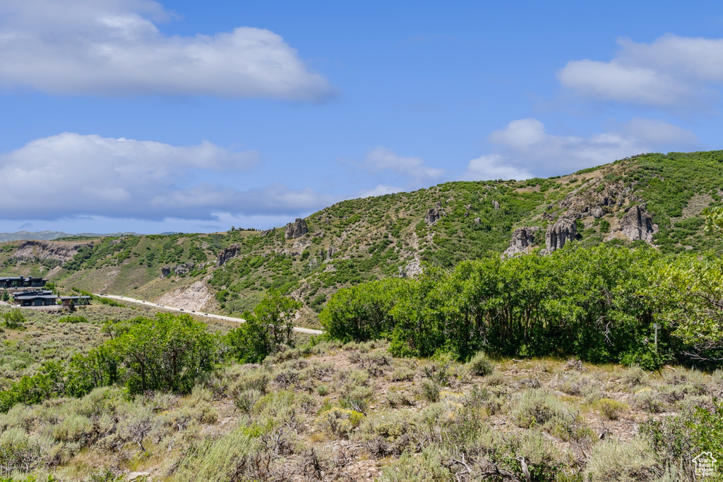 View of mountain background