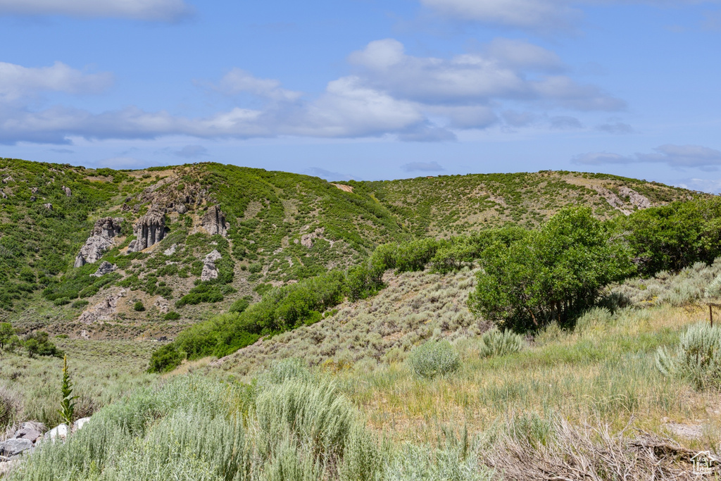 View of mountain background
