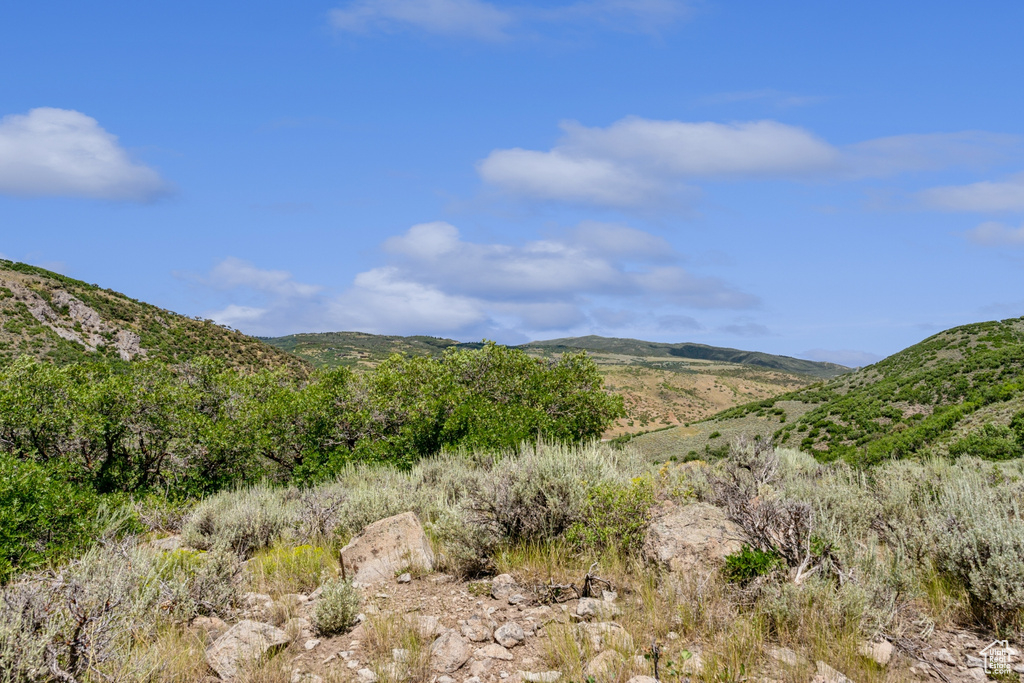 View of mountain background