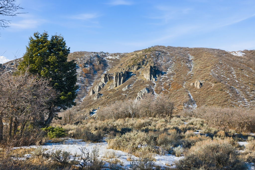 9233  SPOTTED OWL CT Park City, UT 84098